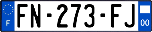 FN-273-FJ