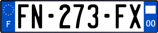 FN-273-FX