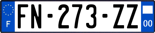 FN-273-ZZ