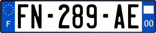 FN-289-AE