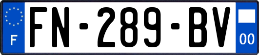 FN-289-BV