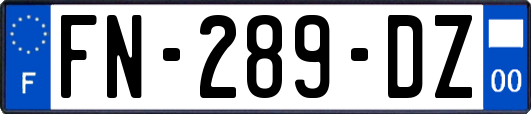 FN-289-DZ