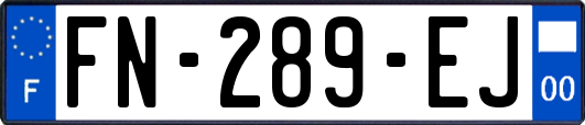 FN-289-EJ