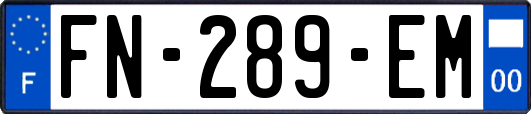 FN-289-EM