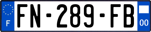 FN-289-FB