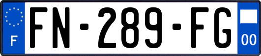 FN-289-FG