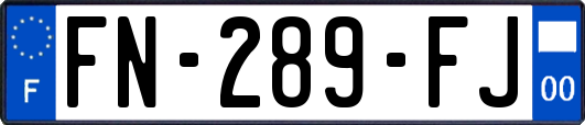 FN-289-FJ