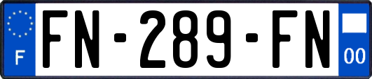 FN-289-FN