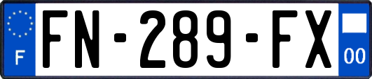 FN-289-FX