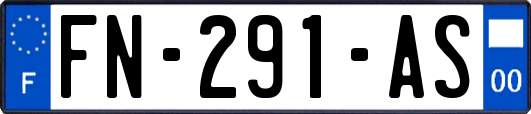 FN-291-AS