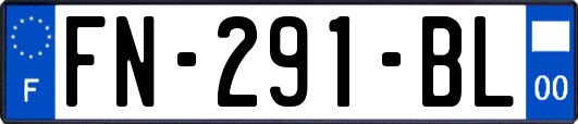 FN-291-BL