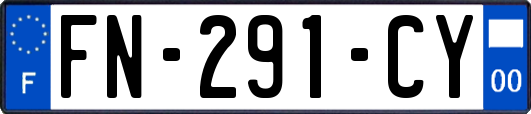 FN-291-CY