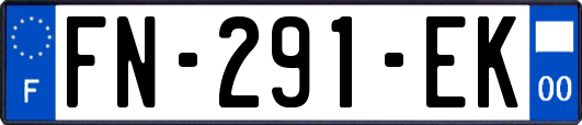 FN-291-EK