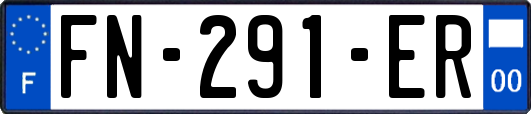 FN-291-ER