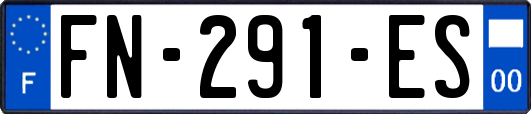 FN-291-ES