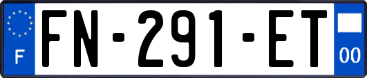 FN-291-ET