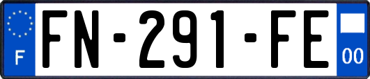 FN-291-FE