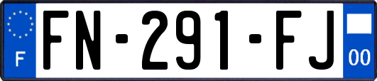 FN-291-FJ