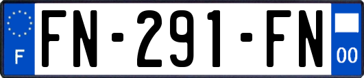 FN-291-FN