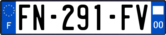 FN-291-FV