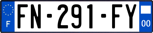 FN-291-FY