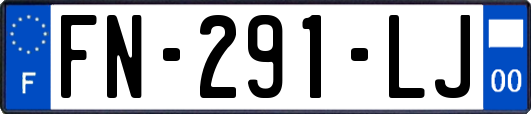 FN-291-LJ