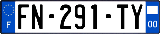 FN-291-TY