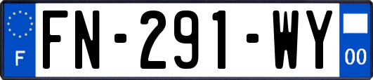 FN-291-WY