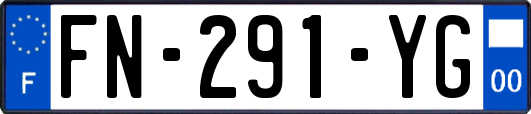 FN-291-YG
