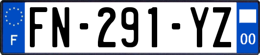 FN-291-YZ