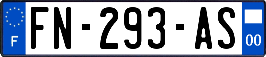 FN-293-AS