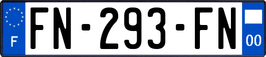 FN-293-FN