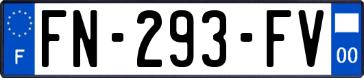 FN-293-FV