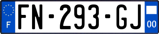 FN-293-GJ