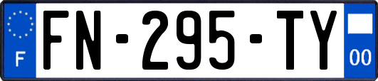 FN-295-TY