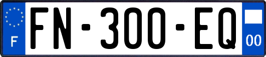 FN-300-EQ
