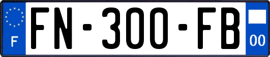 FN-300-FB