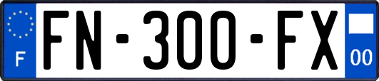 FN-300-FX