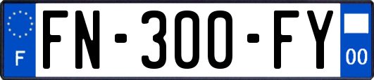FN-300-FY