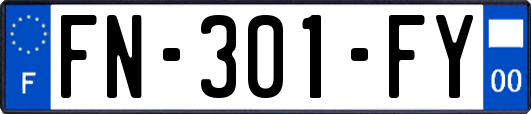FN-301-FY