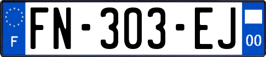 FN-303-EJ