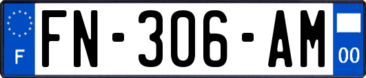 FN-306-AM