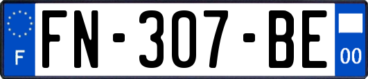 FN-307-BE