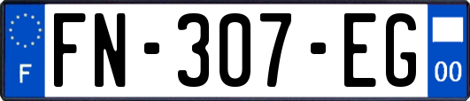 FN-307-EG