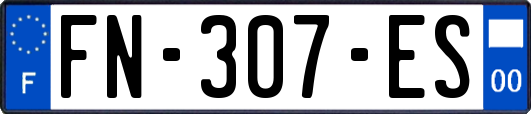 FN-307-ES