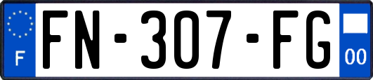 FN-307-FG