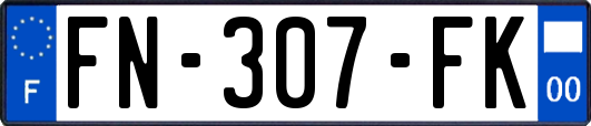 FN-307-FK