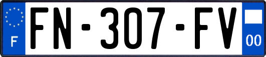 FN-307-FV