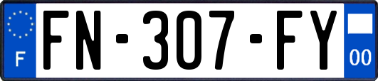 FN-307-FY