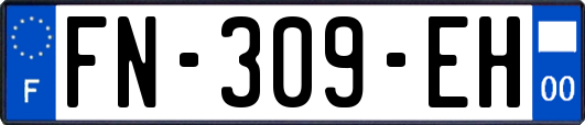 FN-309-EH